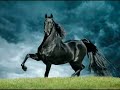 A Horse Lullaby A Horse Lullaby