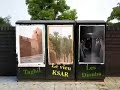 Les dioub's au vieux KSAR (Taghit) part 01