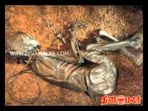 Dinamalar -