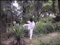 Wudang Lightening Kungfu