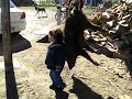 JUANMITA Y JABALI