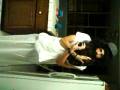 videos de jesus dancing