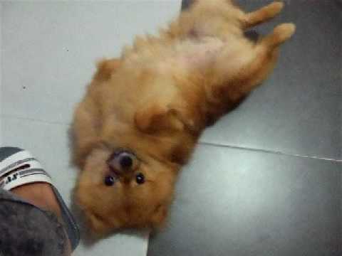 See video