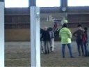 Amity hopptr�ning 2008
