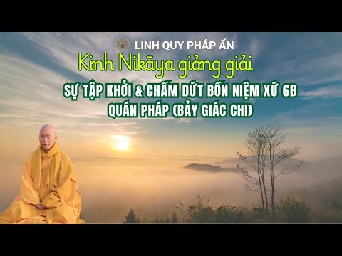 NIKAYA Giảng Giải - Sự Tập Khởi & Chấm Dứt Bốn Niệm Xứ 6B - Quán Pháp (Bảy Giác Chi)