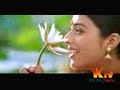Mozullona thulli