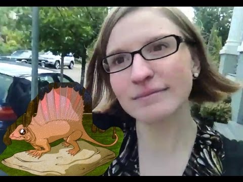 Dimetrodon - The Doubleclicks