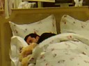Bigmem - taking a nap at David Jones