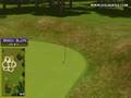 Golden Tee Great Shot on Sunny Wood!