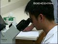 Cancer Killing Viruses Cancer Killing Viruses