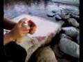 videos de spray paint flamethrower