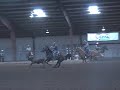 www.mcdanielshorses.com Mega Fast Head Heel & 1D Barrel Hors