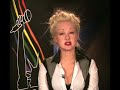 Cyndi Lauper and PFLAG : True Colors Tour