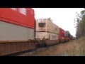 CP 8517 (w) 103-02