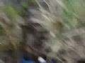 videos de yo haciendo boludeces