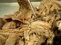Professor Narrated - Feline Nervous System Professor Narrated - Feline Nervous System