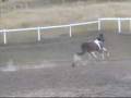 videos de PKH Fiesta Magique Loose