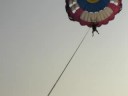 Jugal