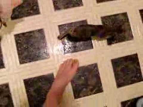 See video