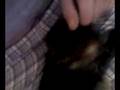 videos de Kira snuggling