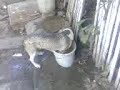 Video001.3gp