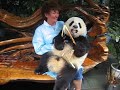 Yolande Panda Hug Yolande Panda Hug