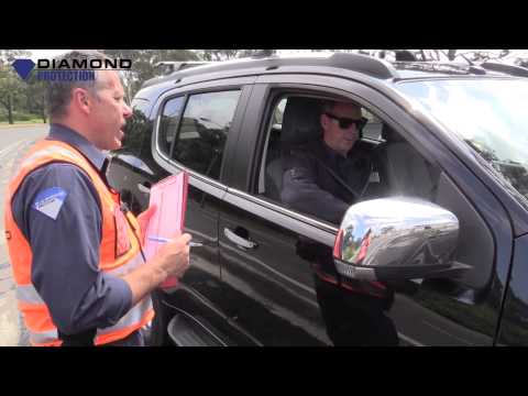 how to search a vehicle