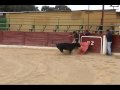 Cumple Pelaez.mp4