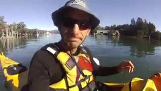 Our Oyster Coast is a hit with visitors