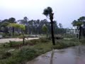 Video 5 Dauphin Island Hurricane Ike