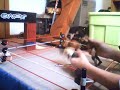 EWAF Royal Rumble MAIN EVENT(ROYAL RUMBLE MATCH!) Part 1(HD)
