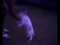 My horny Rabbit lol...