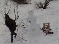 Airsoft remuzat