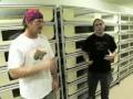 snakebytes tv.. pounding rats/rabbits snakebytes tv.. pounding rats/rabbits
