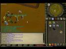Runescape 99 Thieving --Coasteroli4-- Runescape 99 Thieving --Coasteroli4--