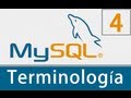 Tutorial MySQL 4 Terminologia