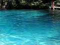 Clear water at Juniper Springs, Ocala Florida
