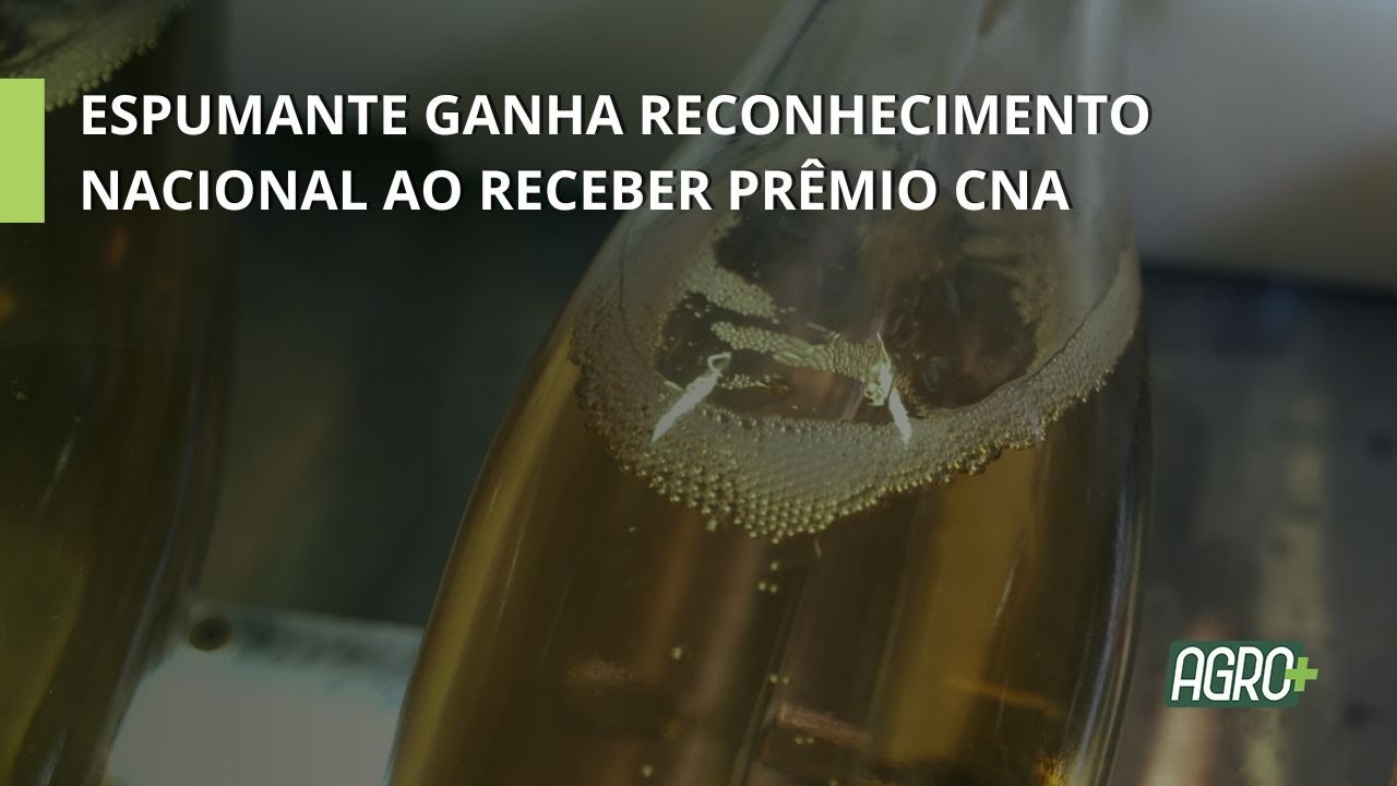 Vinhos e Espumantes | Feito com Arte Ep. 8