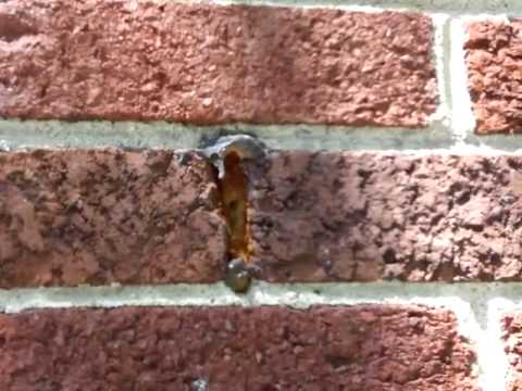 how to unclog weep holes