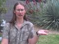 Reactive Arthritis v. Reiter's Syndrome