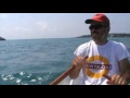 Tours in the Tuscan hills: Castiglioncello (on the sea)
