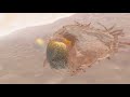 TECHNICOM SHOWREEL-HEALTHCARE