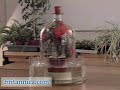 Plant Physiology: Respiration (Britannica.com)
