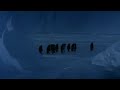 penguin falls down: penguen düşüş: http://www.youtube.com/watch?v=nFAK8Vj62WM&feature=youtu.be