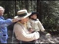 monarch butterfly Angangueo mich Salvatierra gto