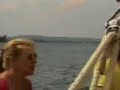 Segeln am Steinhuder Meer Segeln am Steinhuder Meer