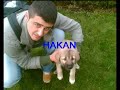 MC ÖZGÜR- 4 SILAHSÄR türkce Rap 2008