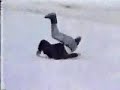 Japonlar�n Koparan �akalar� :D