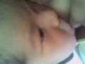 videos de Jose Angel Coronado Lerma-No Quiero Paparatzi
