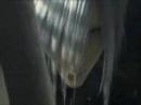 Advent Children Reanimation